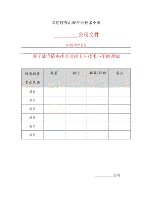 隐患排查治理专业技术小组(B)模板.docx