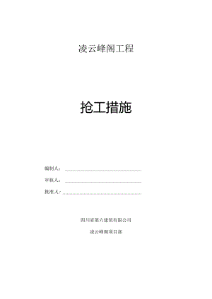 017抢工措施分析.docx