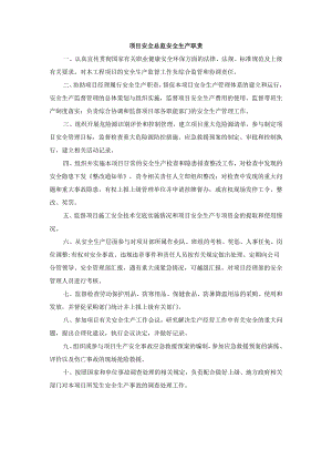 项目安全总监安全生产职责.docx