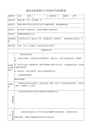 01、观察大树小草水生植物和叶.docx