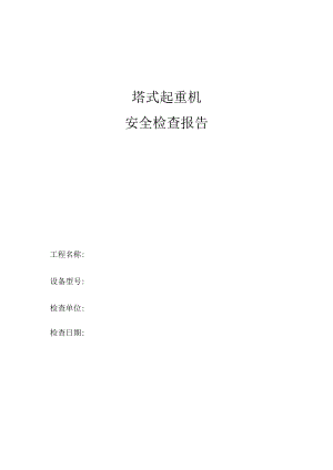 塔式起重机安全检查报告.docx