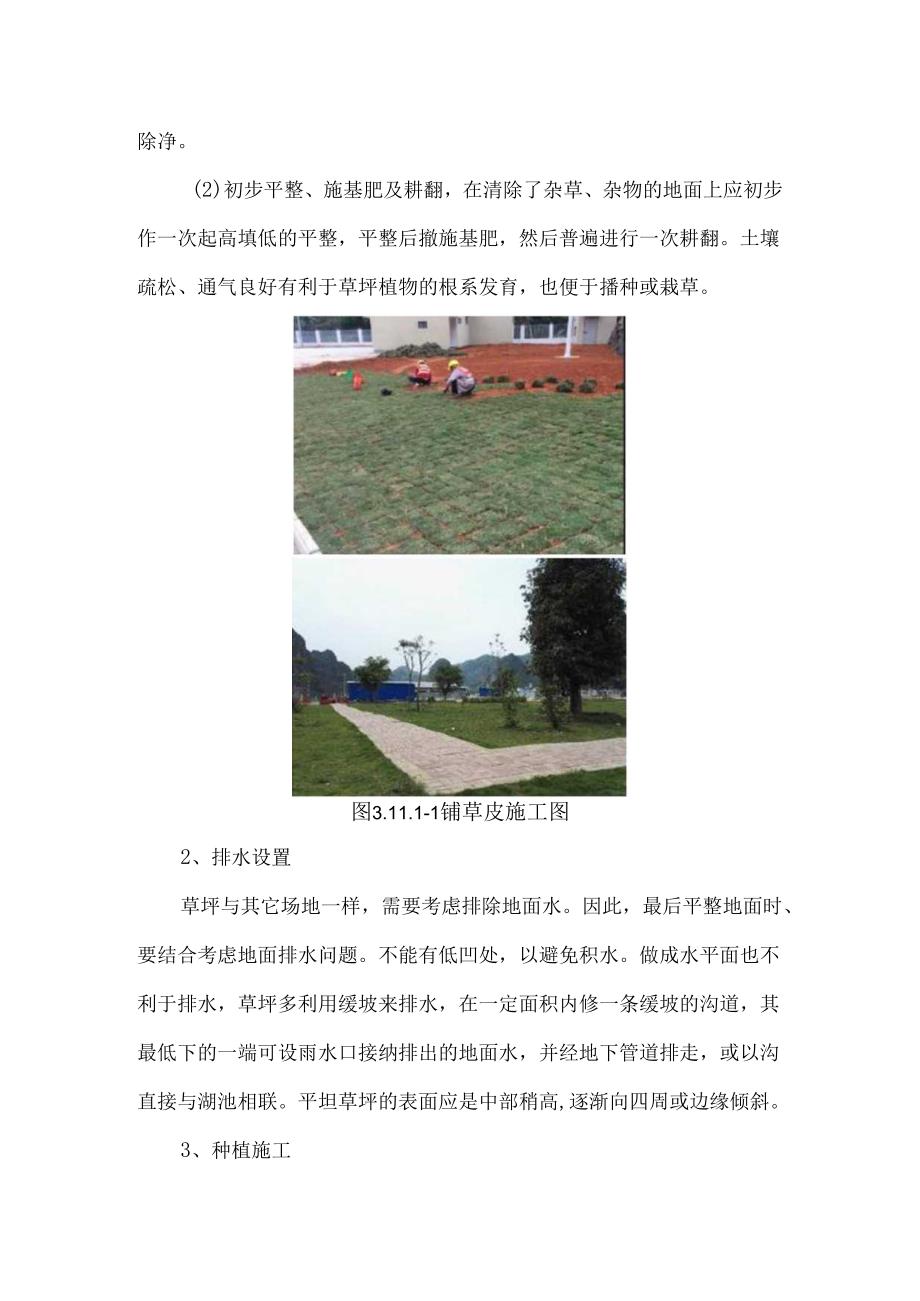 绿化工程施工工艺.docx_第2页