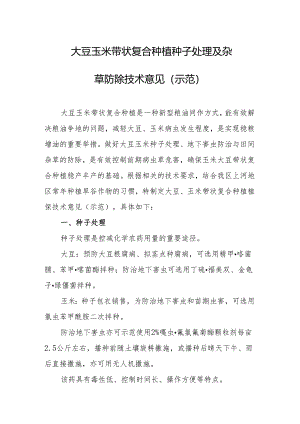 大豆玉米带状复合种植种子处理及杂草防除技术意见（示范）.docx