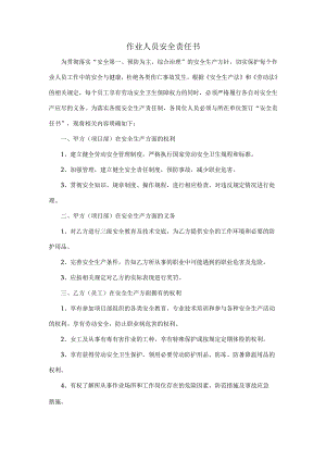 作业人员安全责任书.docx