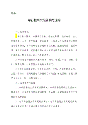 可行性研究报告编写提纲.docx