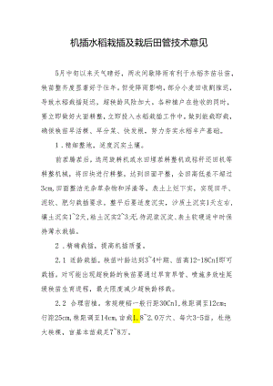 机插水稻栽插及栽后田管技术意见.docx