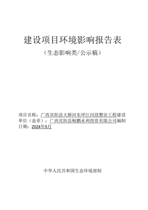 广西宾阳县大桥东圩江河段整治工程环境影响评价报告.docx