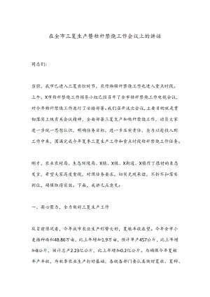 在全市三夏生产暨秸秆禁烧工作会议上的讲话.docx