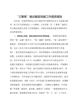 乡党委书记经验交流发言：“三聚焦”推动基层党建工作提质增效.docx