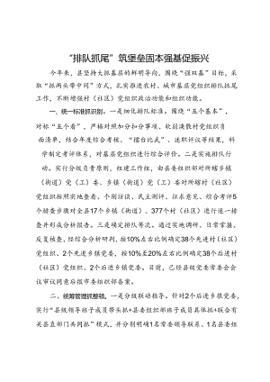 经验做法：“排队抓尾”筑堡垒 固本强基促振兴.docx