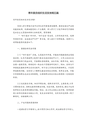 青年委员组织生活发言稿五篇.docx