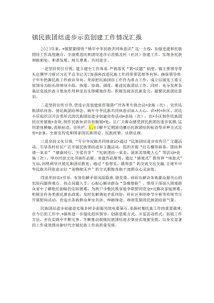 镇民族团结进步示范创建工作情况汇报.docx