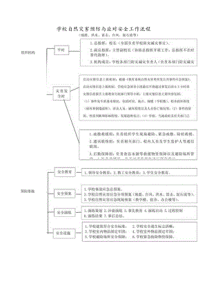 学校自然灾害预防与应对安全工作流程.docx
