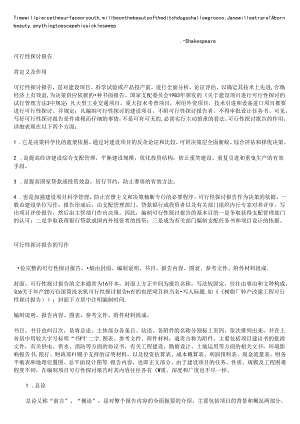 Btsqdra可行性研究报告写作.docx