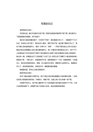 写雪的日记.docx