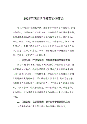 银行党员关于2024年党纪学习教育的学习心得体会四篇.docx