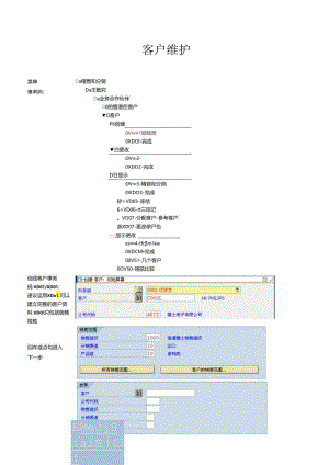 SAP客户主数据...docx