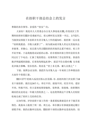在挂职干部总结会上的发言.docx