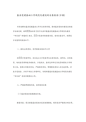 基层党建基础工作规范化建设的自查报告（乡镇）.docx