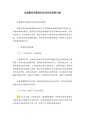 巡查整改专题组织生活会发言稿六篇.docx