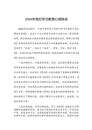 领导干部2024年党纪学习教育心得体会发言稿四篇.docx