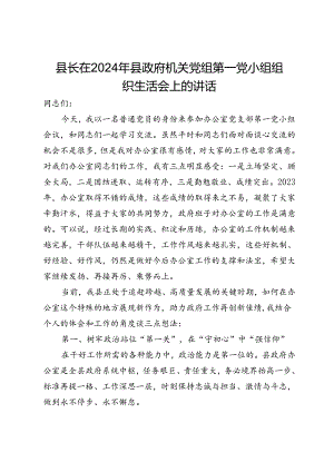 县长在2024年县政府机关党组第一党小组组织生活会上的讲话.docx