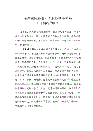 某某镇完善老年人服务网络体系工作情况的汇报.docx