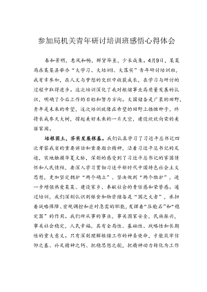 参加局机关青年研讨培训班感悟心得体会.docx
