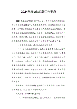 2024年度执法监督工作要点.docx