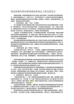 某县团委在团员群体建设座谈会上的交流发言.docx