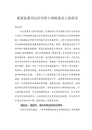 某某县委书记在年轻干部座谈会上的讲话.docx