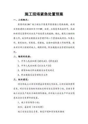 施工现场紧急处置预案.doc