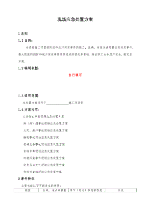 施工项目部现场应急处置方案.doc