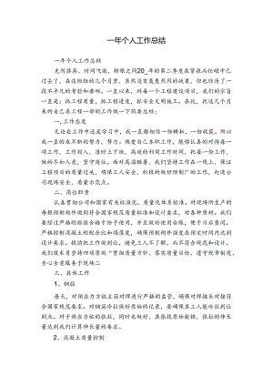 一年个人工作总结.docx