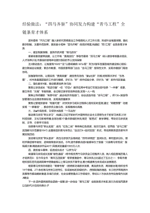 经验做法：“四马齐驱”协同发力 构建“青马工程”全链条育才体系.docx