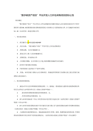 【招标】“数字碳资产项目”平台开发人力外包采购项目.docx