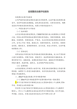 巡视整改自查评估报告.docx