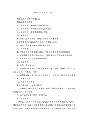 模具类实习报告（3篇）.docx