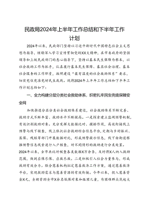 民政局2024年上半年工作总结和下半年工作计划.docx