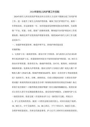 2024年新生儿科护理工作计.docx