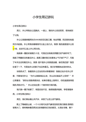 小学生周记游玩.docx