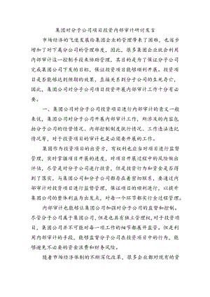 集团对分子公司项目投资内部审计研讨发言.docx