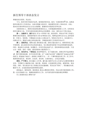 新任领导干部表态发言.docx