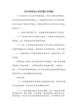 2024年新生儿科护理工作计划.docx