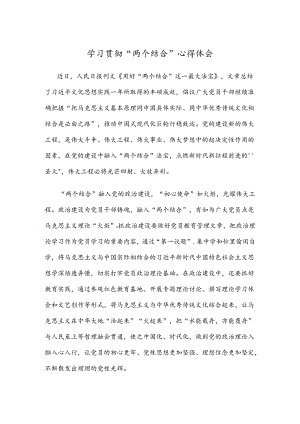 学习贯彻“两个结合”心得体会.docx
