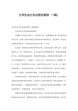 大学生会计实训报告集锦（3篇）.docx