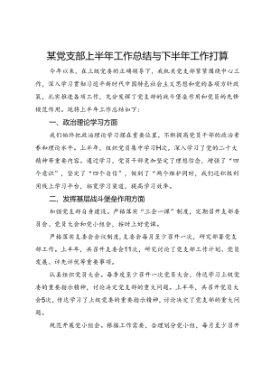 某党支部上半年工作总结与下半年工作打算.docx