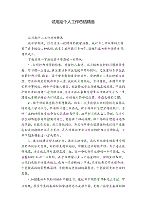 试用期个人工作总结精选.docx