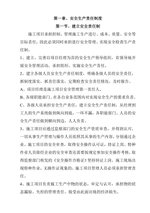 施工项目安全生产责任制.doc