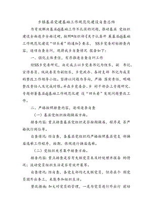 乡镇基层党建基础工作规范化建设自查总结.docx